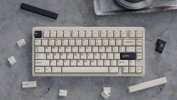 WS Creamy Charcoal keycaps PBT double-shot 223 tasti