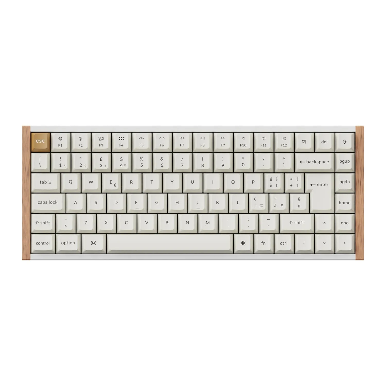 Keychron K2 HE tastiera magnetica 75% Special Ed. nera