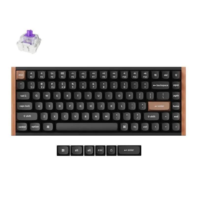 Keychron K2 HE tastiera magnetica 75% Special Ed. nera