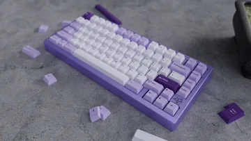 WS Lavender Bliss keycaps PBT double-shot 223 tasti