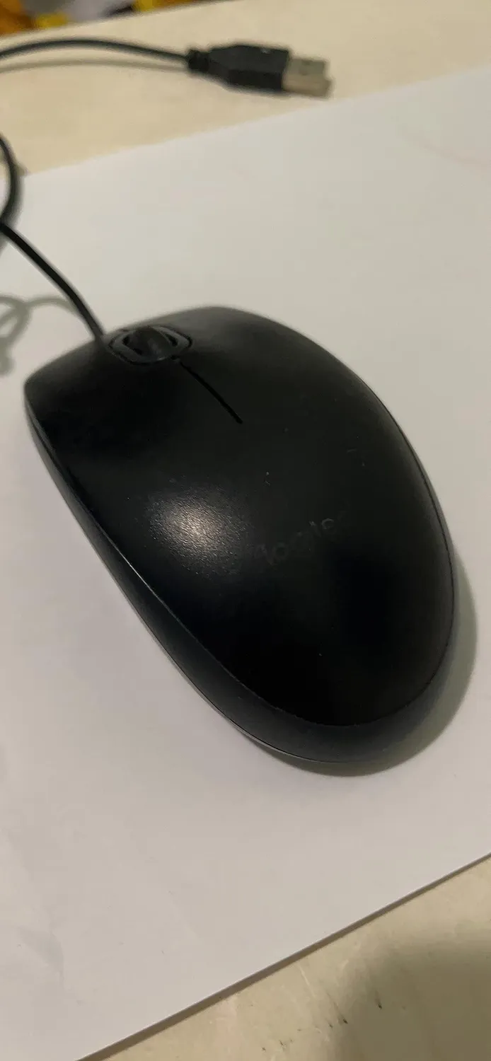 Logitech B100 mouse cablato USB 800 DPI nero