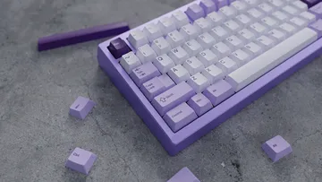 WS Lavender Bliss keycaps PBT double-shot 223 tasti
