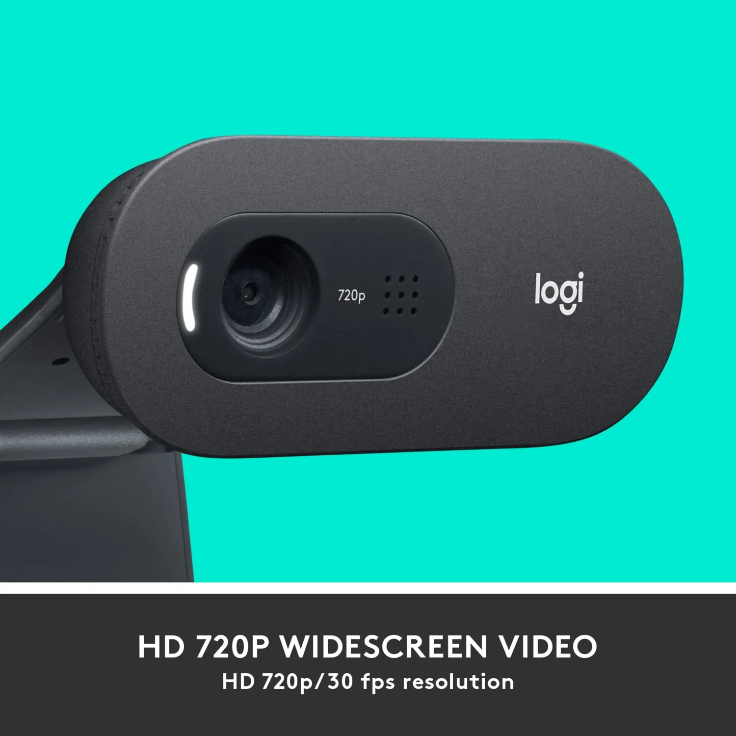 Logitech C505 webcam HD 720p microfono 3 m singolo