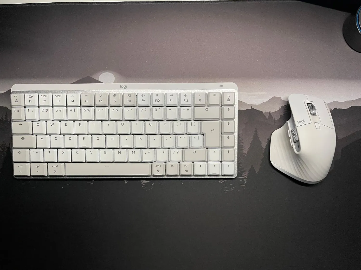 Logitech MX Master 3S per Mac mouse Space Grey 8K