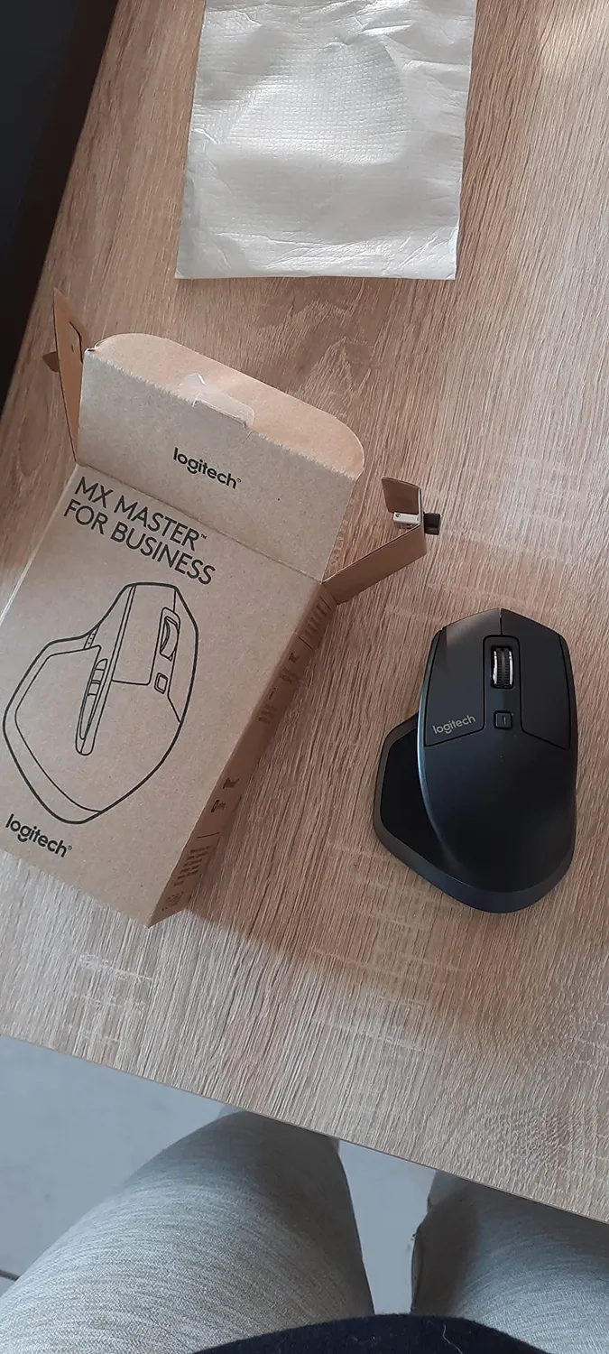 Logitech MX Master mouse wireless alta precisione