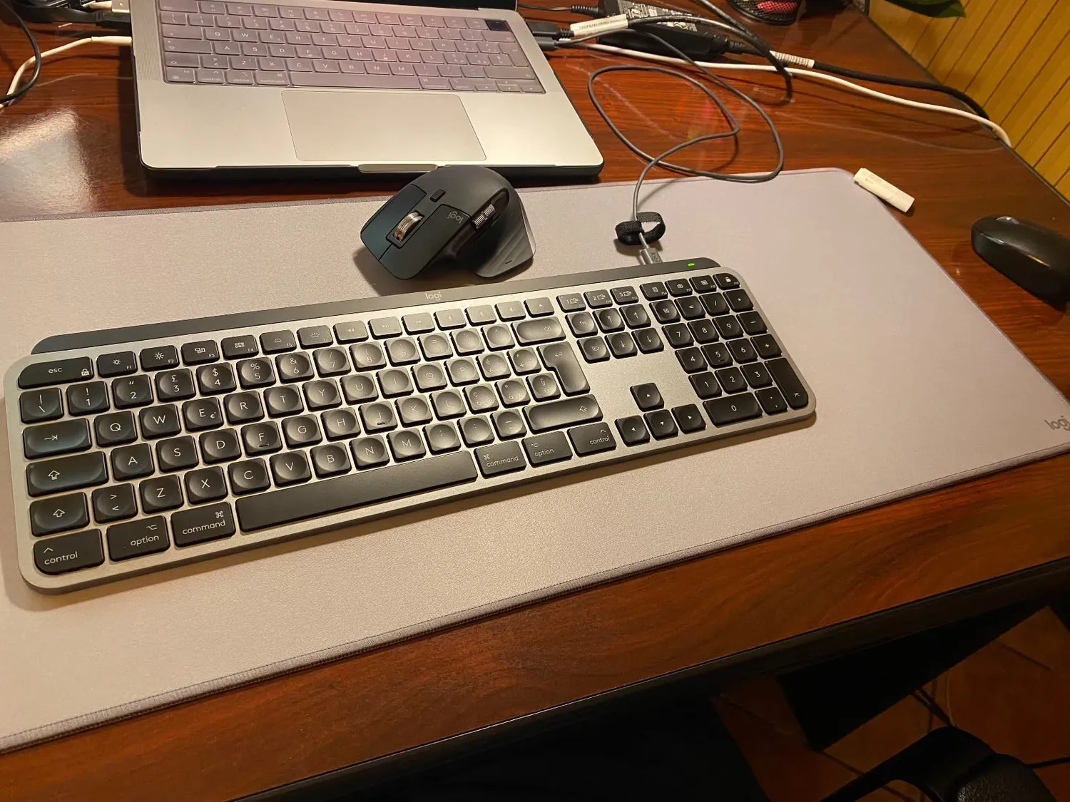 Logitech MX Master 3S per Mac mouse Space Grey 8K
