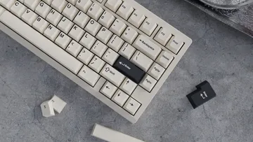 WS Creamy Charcoal keycaps PBT double-shot 223 tasti