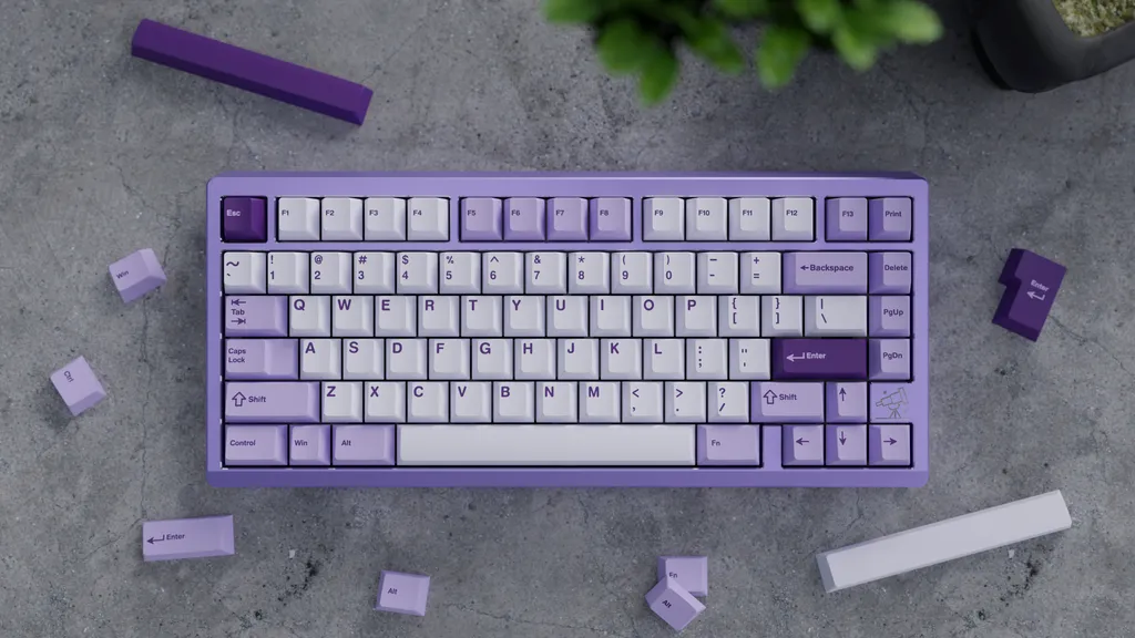CoffeeKeys WS Lavender Bliss keycap PBT Cherry 223 tasti