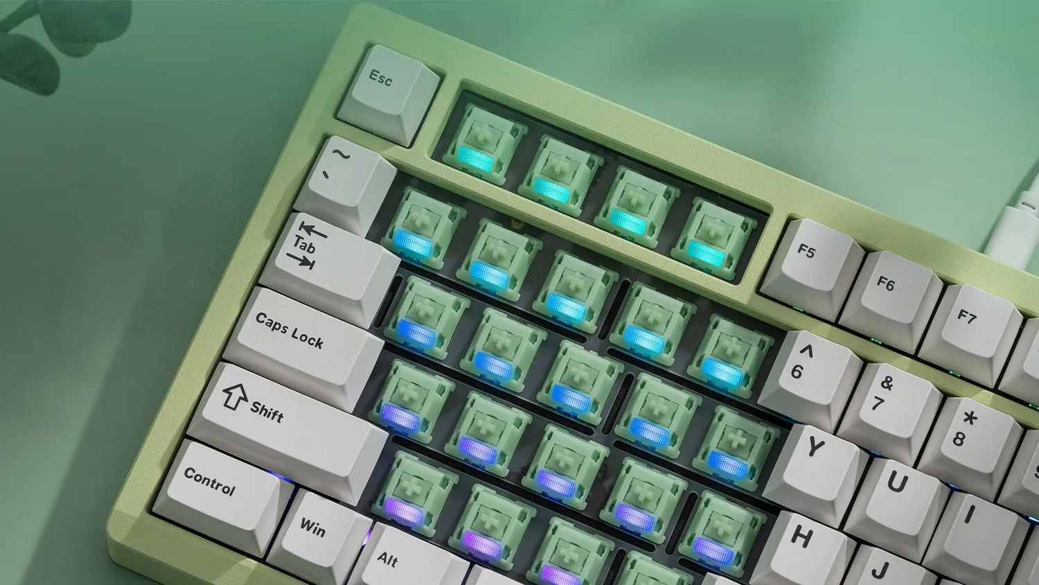 Wuque WS Jade switch lineare contatto metallo silenzioso