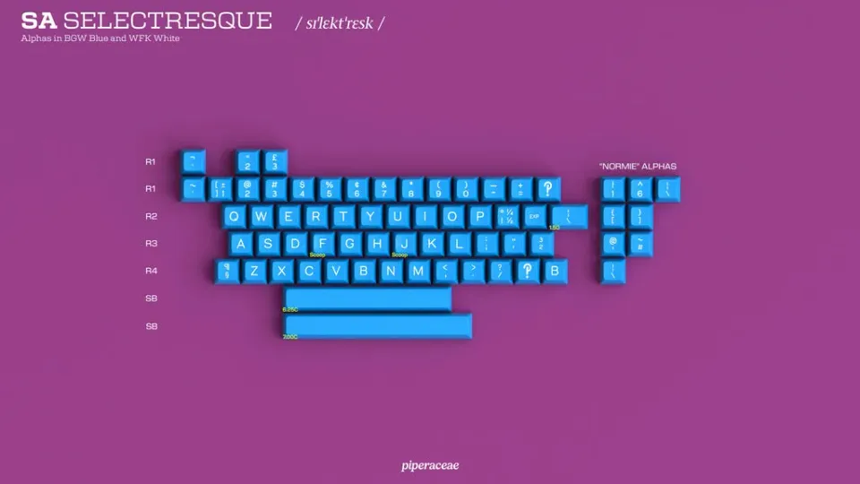 Signature Plastics Selectresque set keycap SA vintage