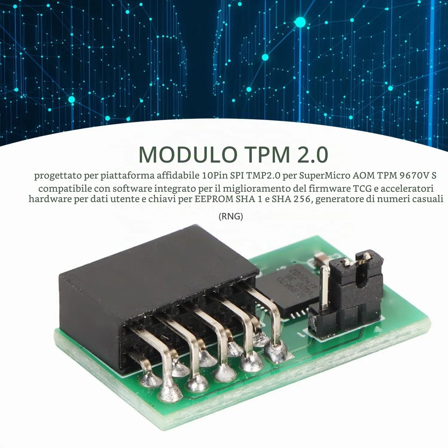 Zunate Modulo TPM 2.0 Chipset 9670 SPI 10 Pin Verticale